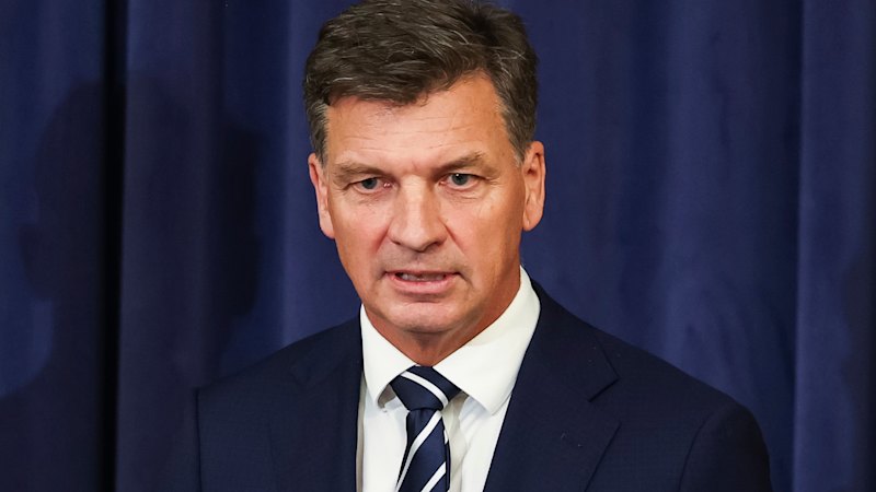 Angus Taylor launches campaign against adding 40 MPs