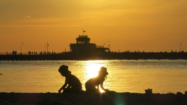 Melbourne is set to sweat through its hottest day since January on Friday. 