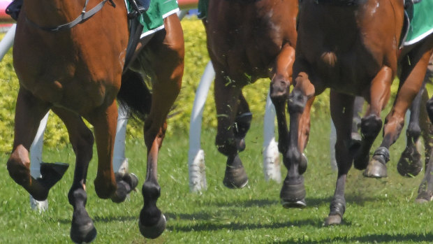 Tuncurry hosts an eight-race card on Monday.