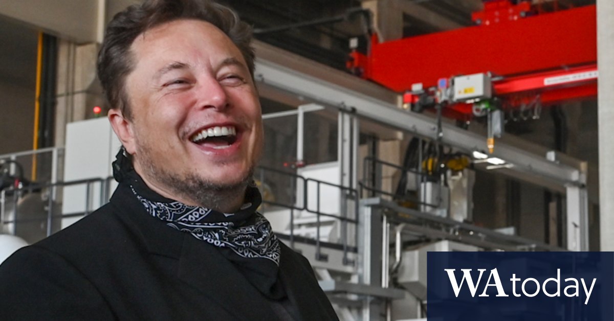 Elon Musk wants to show Germans how to build cars - Vimarsana News