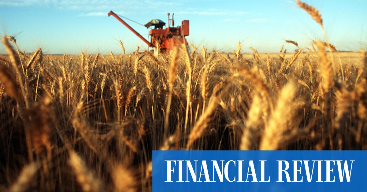 Australia wheat exports poised to deliver $6b windfall - Vimarsana News
