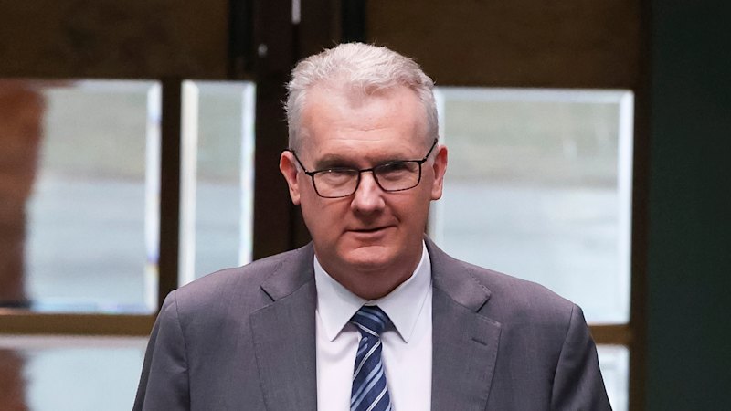 ‘We are not’: Burke rejects claims government repatriating IS brides