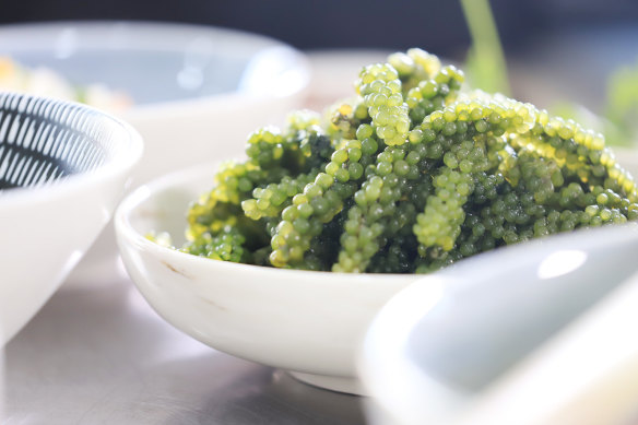 The Fijian delicacy known as “nama”, or sea grapes.