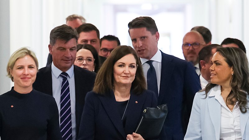 Liberalci niso imeli večine pri cilju ničelne neto emisije