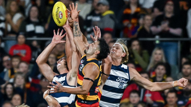 Stewart takes Cats to victory despite pitch invasion; Hamstring fears for Dangerfield
