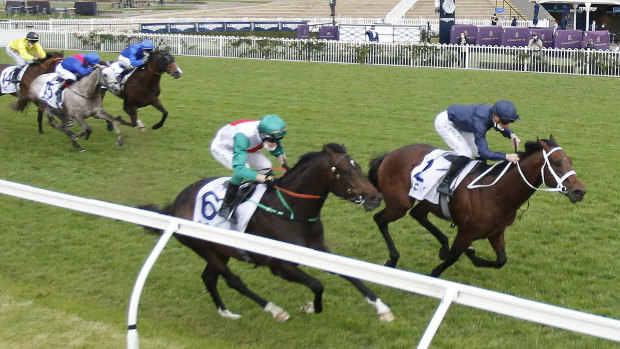 Race six selection Benaud (blue with red V) chases hard for third behind Head Of State and Profondo in the Gloaming Stakes.