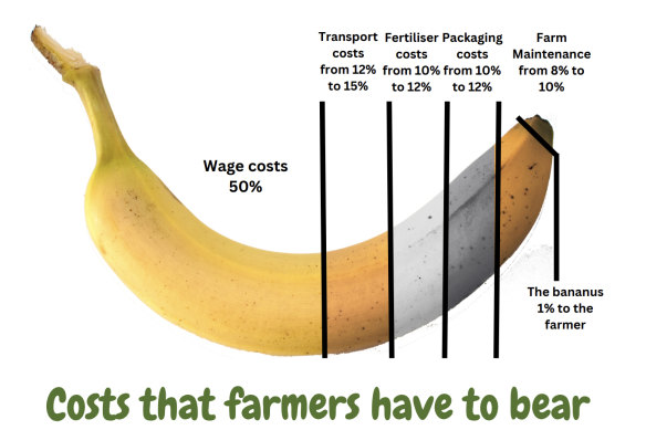 “The bananus 1 per cent to the farmer”: Bob Katter’s “banana” graphic attached to his submission. 
