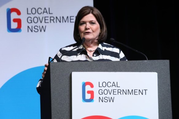 NSW Minister for Local Government Shelley Hancock says not all property developers are "evil".