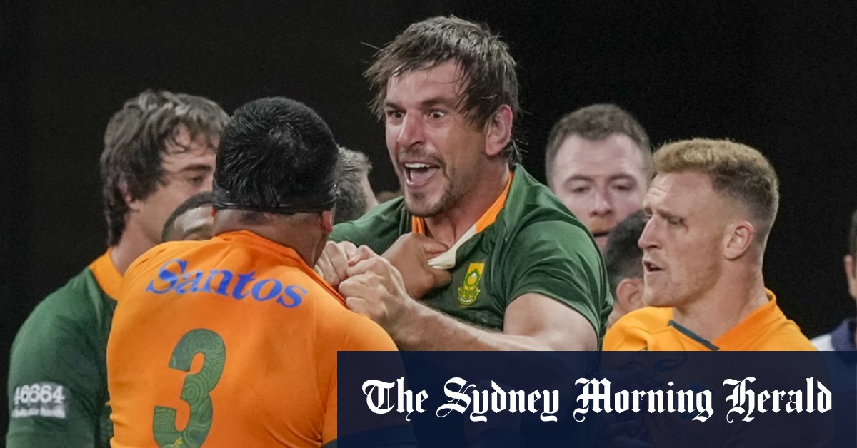 Wallabies suffer ugly loss to Springboks in feisty clash