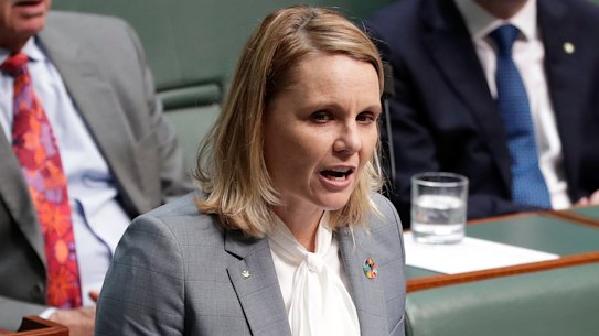 Labor MP Peta Murphy delivers her first speech 