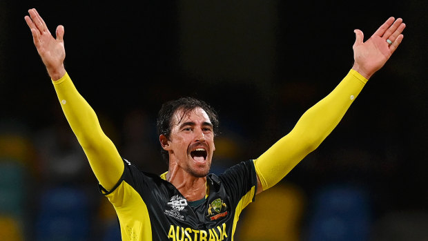 A Starc omission? How star paceman could find himself on World Cup outer