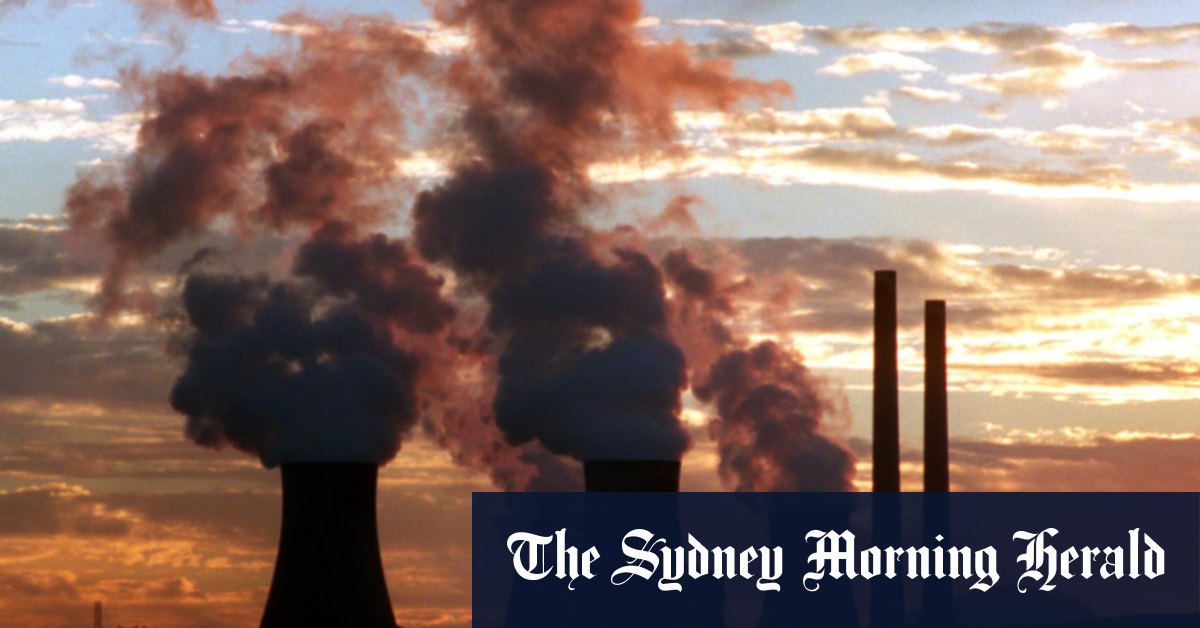 La rete elettrica può sbarazzarsi del carbone “senza aumenti e tagli dei prezzi”