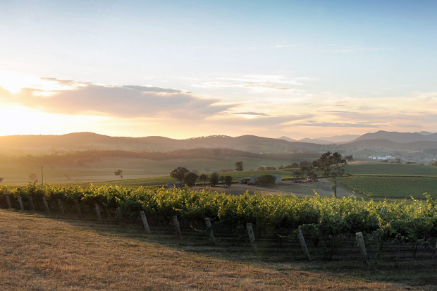 Mudgee’s Robert Oatley Vineyards now makes most of its wine interstate.