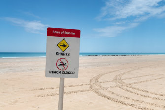 Cable Beach is closed after the fatal shark attack. 