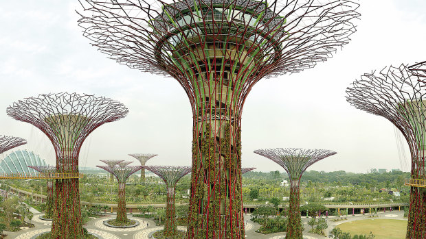 The unashamedly artificial Supertree Grove in Singapore, as portrayed in an exhibition at the NGV.