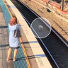 Heidi the spoodle brings trains to a halt with peak-hour run on Sydney Harbour Bridge