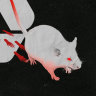 The Plasrefine recycling facility was planned for construction next to a critical medical research mouse-breeding facility.