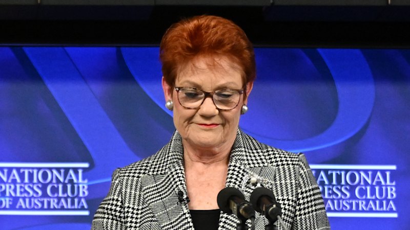 GetUp banner stunt labelled ‘inside job’ by One Nation leader
