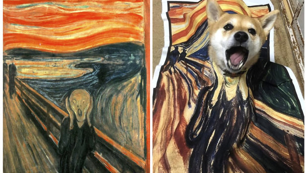 The pooch in Natalia Rubina's recreation of Edvard Munch's Scream looks a little nonplussed.