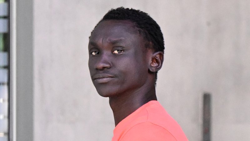 Man freed by High Court handed jail for visa breaches