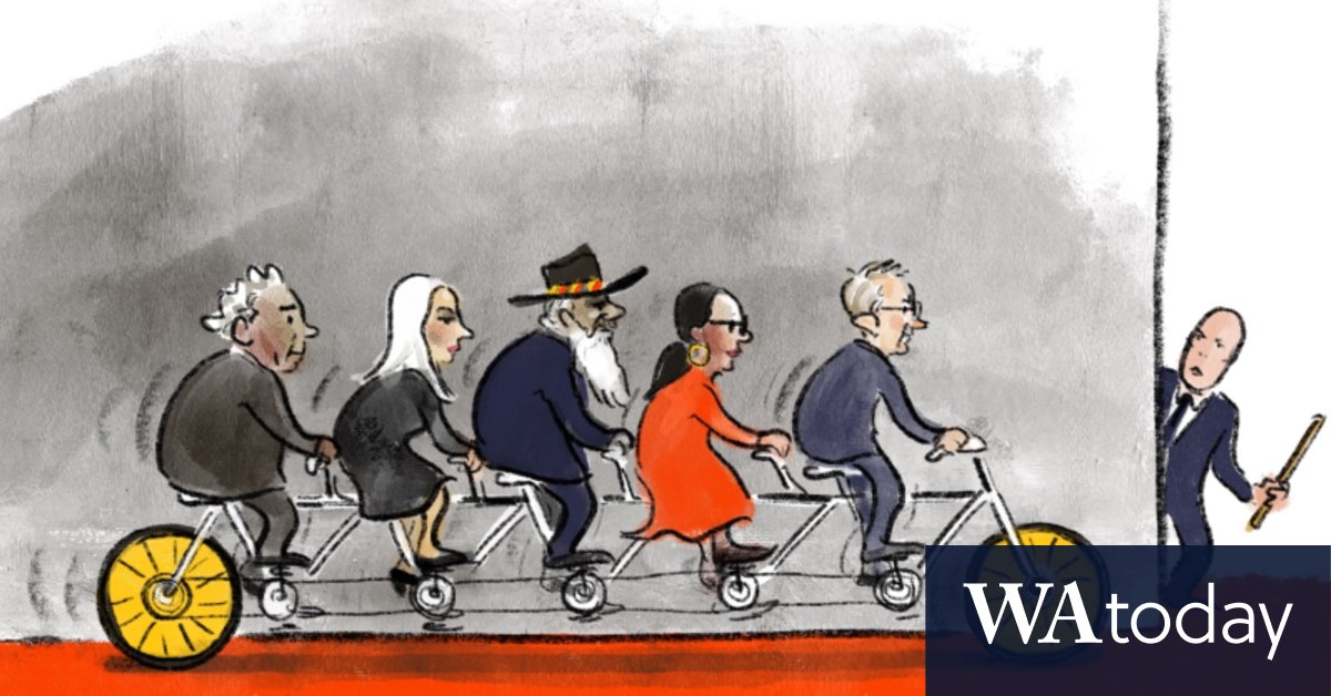 The newest illustrations from artist Cathy Wilcox