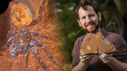 Gulgong farmer’s fantastic fossil find uncovers unknown ancient species