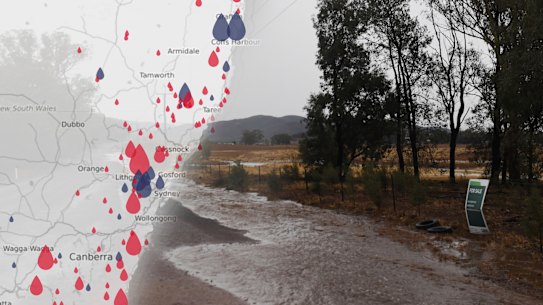 The rain has been a welcome relief for firefighters across the state's fire grounds, but the NSW Rural Fire Service has warned the fire risk may return.