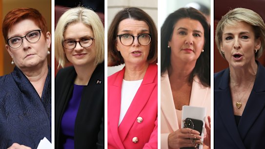 Marise Payne, Amanda Stoker, Anne Rushton, Jane Hume and Michaelia Cash.