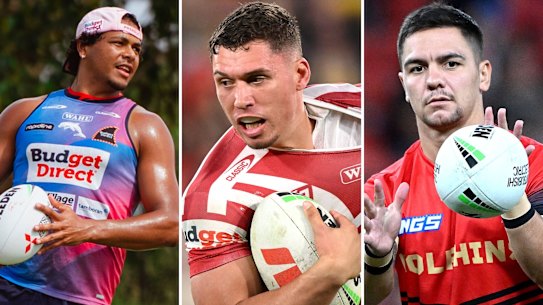 Dolphins contract composite