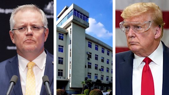 For weeks the Australian government had been growing concerned about the Trump administration’s promotion of the theory that experiments on bats at a Wuhan laboratory had unleashed COVID-19.