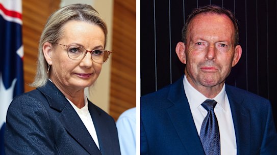 Tony Abbott is demanding Opposition Leader Sussan Ley persist with Peter Dutton’s clean-up of the Liberal Party’s biggest state division.