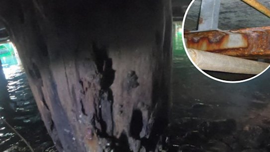 Corrosion on steel beams beneath the Circular Quay promenade. A wooden pile beneath the eastern concourse last year.