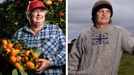 Mandarin farmer Mark Watkins of Wisemans Ferry and Brett Guthrey at Kathleen Haven persimmon farm.