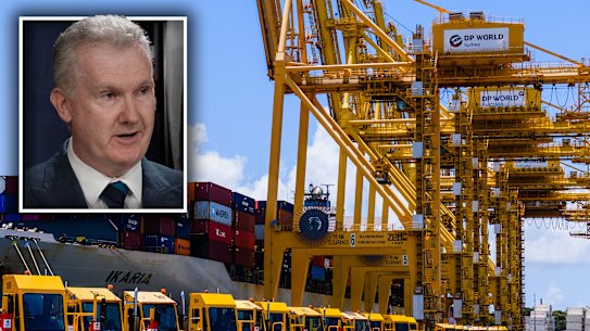 Tony Burke says the dispute would have dragged on for months had he intervened.