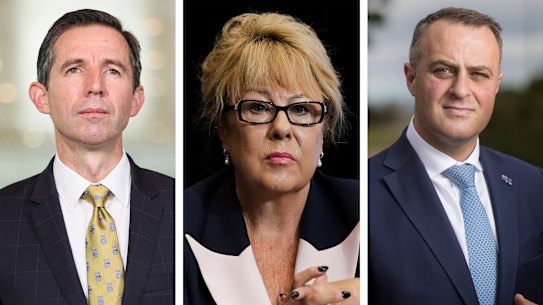 Senator Simon Birmingham, Liberal Party’s NSW vice president Teena McQueen and former Liberal MP Tim Wilson.