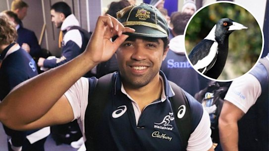 Langi Gleeson had an unfortunate run-in with two magpies at his first Wallabies training session.