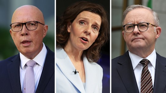 Independent Allegra Spender is seeking support for her amendment from both the government and opposition.