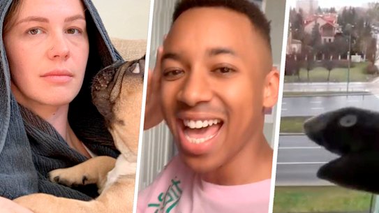 Coronavirus memes homepage image by Kirsten Burghard