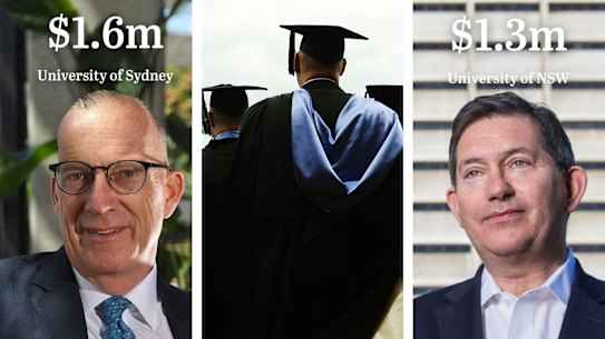 University vice-chanceller pay composite