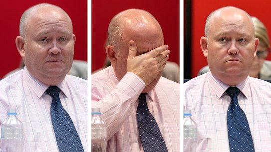 Shane Fitzsimmons gives evidence at NSW Parliament on Wednesday