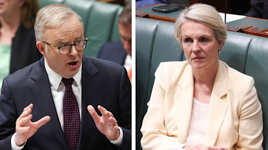 Prime Minister Anthony Albanese is scrambling to calm Labor MPs dismayed by his decision to override Environment Minister Tanya Plibersek and cancel her deal with the Greens to establish a national environment watchdog.