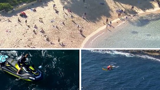 Little Bay shark attack