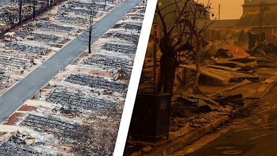 Paradise  California and Mogo NSW.