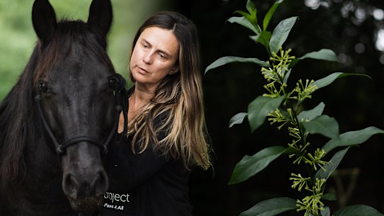 Anna Ludvik with her surviving horse, Willis. The other two died after eating cestrum nocturnum.