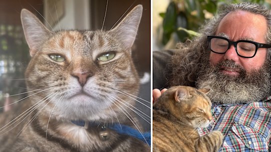 Brendan Foster and Sabrina the cat. Pictures: Brendan Foster