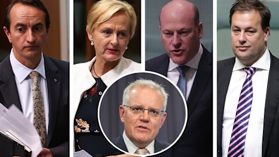Liberal MPs Dave Sharma, Katie Allen, Trent Zimmerman and Jason Falinski all pushed Prime Minister Scott Morrison to include a net zero emissions by 2050 pledge as part of his climate policy.