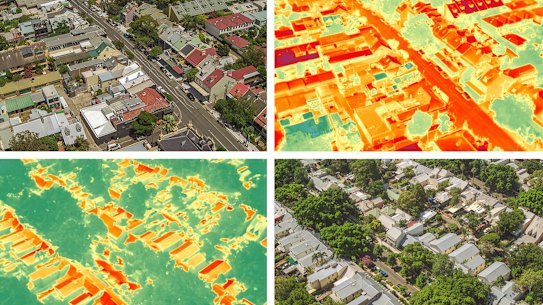 Glebe heatmap. Photo: Supplied