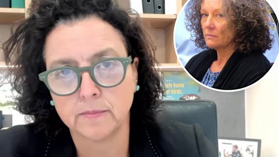 Monique Ryan gives evidence at the Folbigg inquiry on Tuesday.