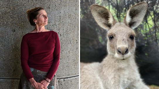 Tracy Dods está apelando de sua condenação por crueldade contra animais.