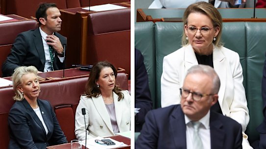 Left: Nationals senators, Bridget McKenzie, Matt Canavan and Susan McDonald voting against the hate speech bill. Right: Prime Minister Anthony Albanese and Opposition Leader Sussan Ley.